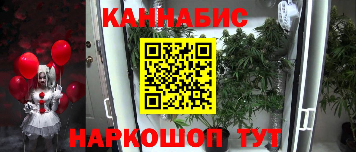 Канабис конопля  Канабис планчик  Свободный  Каннабис Ganja  МАРИХУАНА Ganja  Вход с VPN 